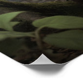 Mischievous Goblin Lurking in een spookbos Poster (Hoek)