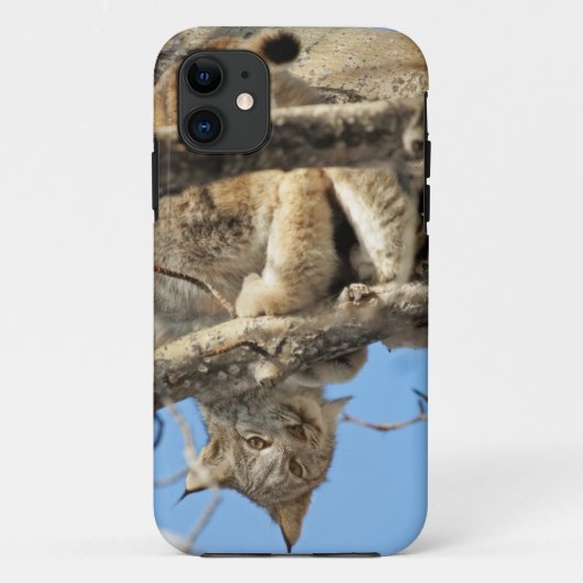 Mischievous Lynx Case-Mate iPhone Case (Achterkant)
