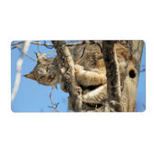 Mischievous Lynx Etiket (Voorkant)