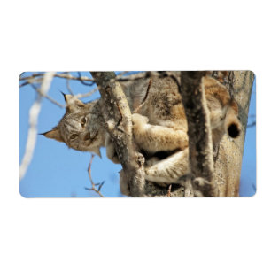 Mischievous Lynx Etiket