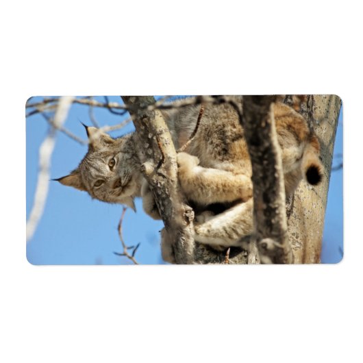 Mischievous Lynx Etiket (Voorkant)
