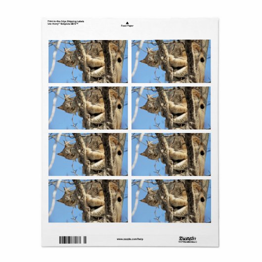 Mischievous Lynx Etiket (Full Sheet)