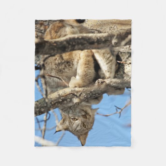 Mischievous Lynx Fleece Deken (Voorkant)