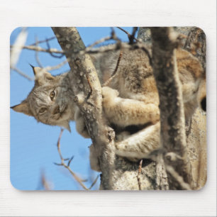 Mischievous Lynx Muismat