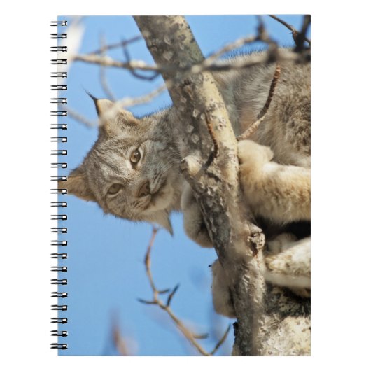 Mischievous Lynx Notitieboek (Voorkant)