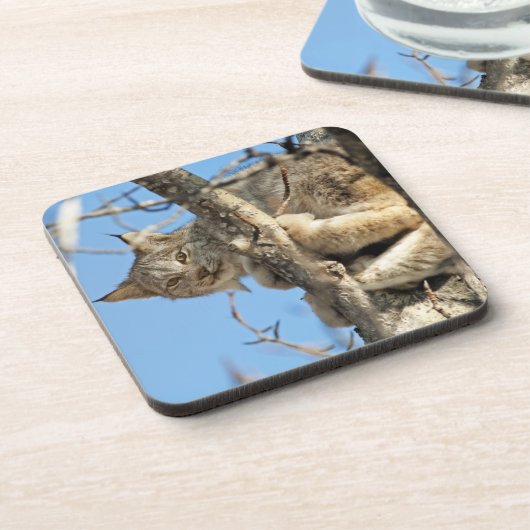 Mischievous Lynx Onderzetter (Linkerzijde)