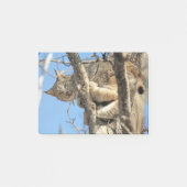 Mischievous Lynx Post-it® Notes (Voorkant)