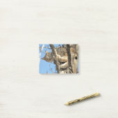 Mischievous Lynx Post-it® Notes (Op bureau)