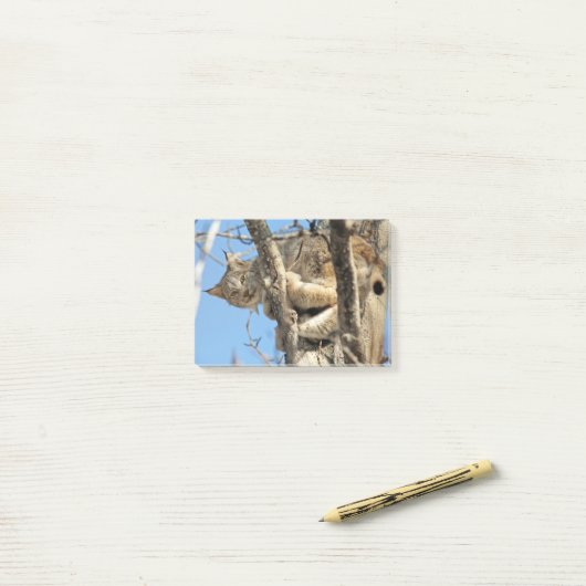 Mischievous Lynx Post-it® Notes (Op bureau)