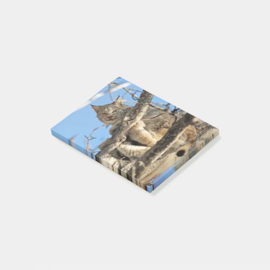 Mischievous Lynx Post-it® Notes (Schuin)
