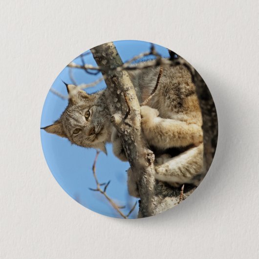 Mischievous Lynx Ronde Button 5,7 Cm (Voorkant)