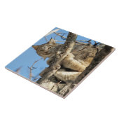 Mischievous Lynx Tegeltje (Zijkant)