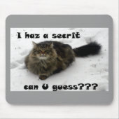 Mischievous Maine Coon in de sneeuw Muismat (Voorkant)