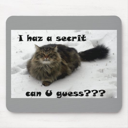 Mischievous Maine Coon in de sneeuw Muismat (Voorkant)