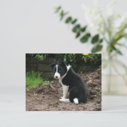 Mischievous Pup Briefkaart (Staand voorkant)