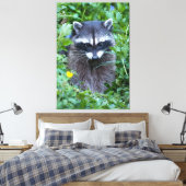 Mischievous Raccoon Canvas Afdruk (Insitu (Slaapkamer))