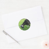 Misha de Goat Ronde Sticker (Envelop)