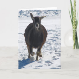 Misha die met sneeuwkerst heeft gevlucht feestdagen kaart