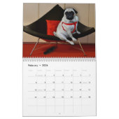 Misha for Pug Lust, pug lingerie agenda Kalender (Feb 2026)
