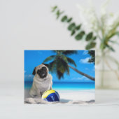 Misha Pug op het strand Briefkaart (Staand voorkant)
