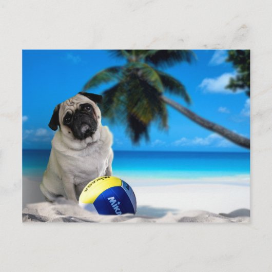 Misha Pug op het strand Briefkaart (Voorkant)