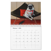 Misha voor Pug Lust Lingerie Agenda Kalender (Feb 2026)