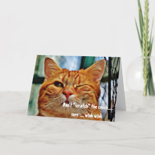 Mishandeling Cat Funny Humor Winking Greeting Kaart