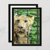 Mishap bij de dierentuin kaart (Voorkant / Achterkant)