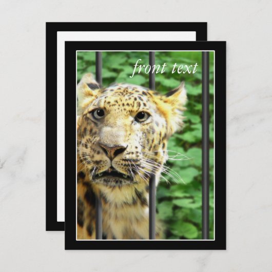 Mishap bij de dierentuin kaart (Voorkant / Achterkant)