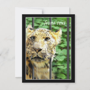 Mishap bij de dierentuin kaart