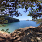 Misleiding - Washington's meest bezochte park Briefkaart