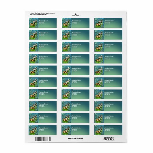 Mismaloya Pelicans 0329 Adres Etiket (Full Sheet)