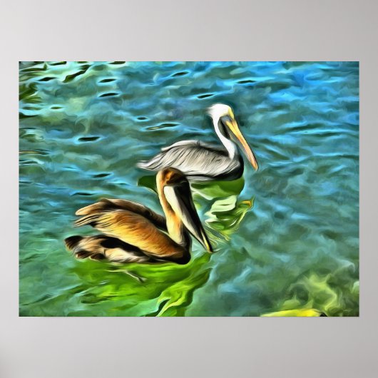 Mismaloya Pelicans 0329 Art Print (Voorkant)