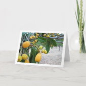 Mispelboom Portret Kaart (Voorkant)