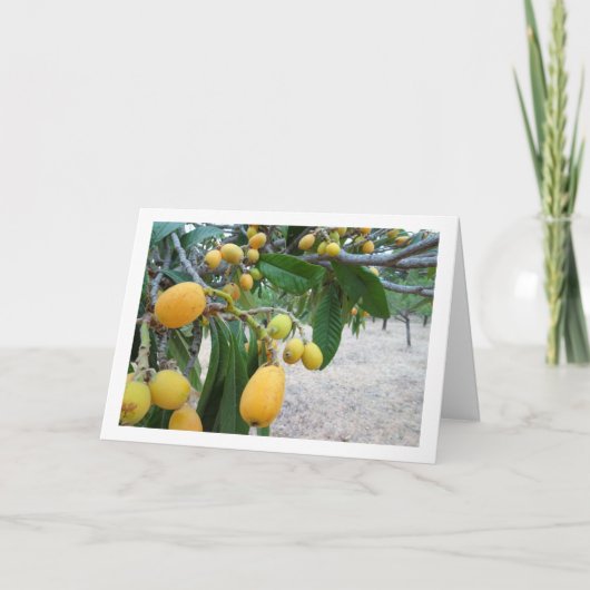 Mispelboom Portret Kaart (Voorkant)