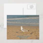 Misquamicut Beach Briefkaart (Voorkant / Achterkant)