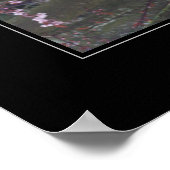 Miss America USA Custom Poster Portret (Hoek)