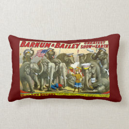 Miss Amy Dupont Opgeleide Circus Elephants Barnum Kussen