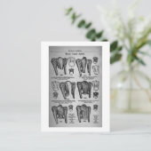 Miss' Bicycle Jakcets -  reclame 1897 Briefkaart (Staand voorkant)