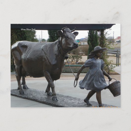 Miss Blue Bell Postcard Briefkaart (Voorkant)
