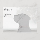 Miss. Briefkaart (Voorkant)