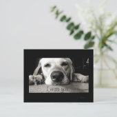 Miss. Briefkaart (Staand voorkant)