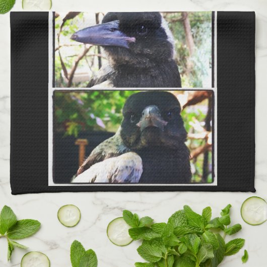 Miss Bub redde Australische Magpie Theedoek (Gevouwen)