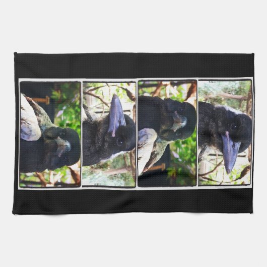 Miss Bub redde Australische Magpie Theedoek (Horizontaal)