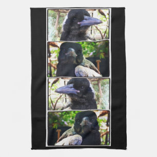Miss Bub redde Australische Magpie Theedoek