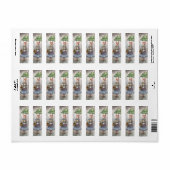 Miss Bunny Etiket (Full Sheet)