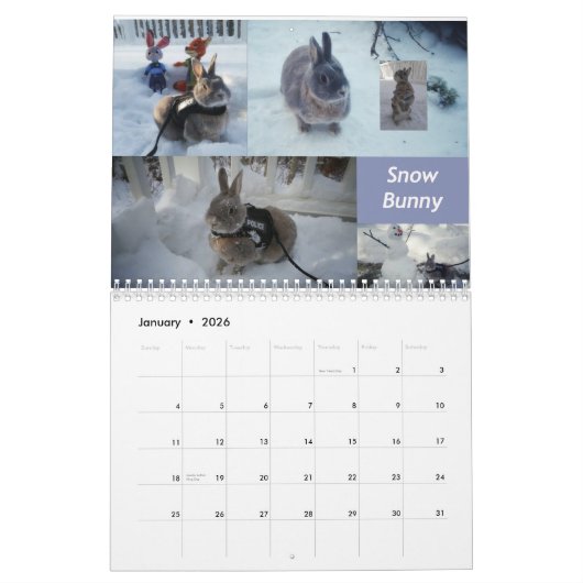 Miss Bunz 2024 Kalender (Jan 2026)