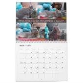 Miss Bunz 2024 Kalender (Mar 2027)