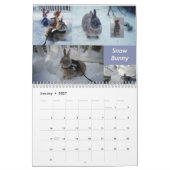 Miss Bunz 2024 Kalender (Jan 2027)