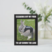 Miss Bunz Cleaning Paw Briefkaart (Staand voorkant)